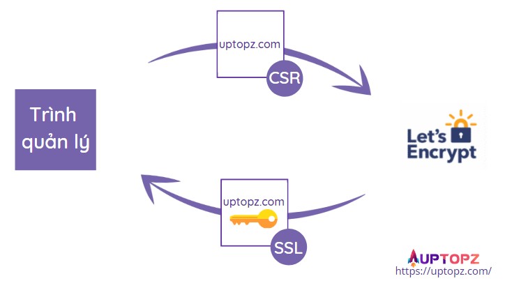 Hình ảnh minh họa trình quản lý gửi CSR của tên miền uptopz.com cho Let’s Encrypt và nhận về chứng nhận SSL (minh hoạ bảo mật bằng biểu tượng chìa khoá)