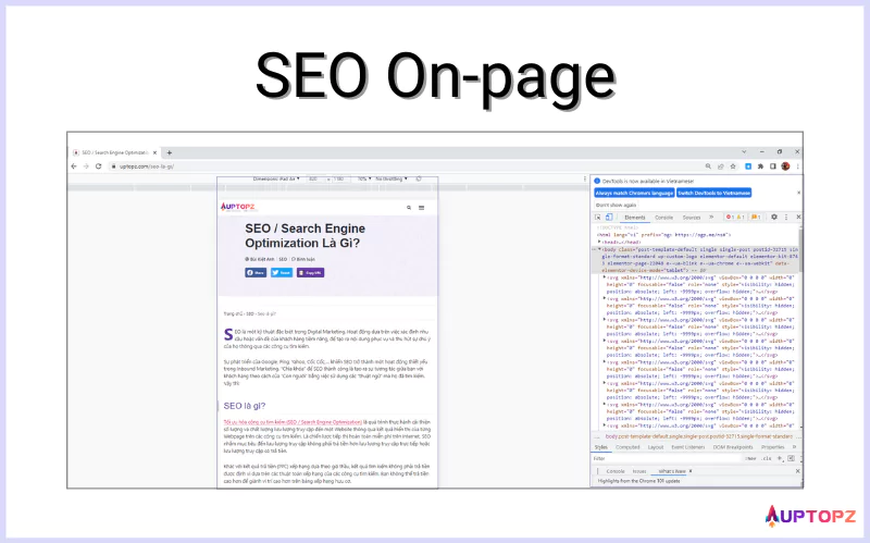 Minh họa SEO Onpage với nội dung và ngôn ngữ đánh dấu siêu văn bản HTML.