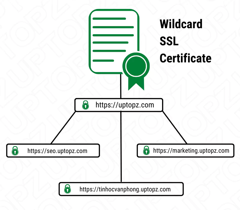 Chứng chỉ ký tự đại diện - Wildcard SSL Certificate